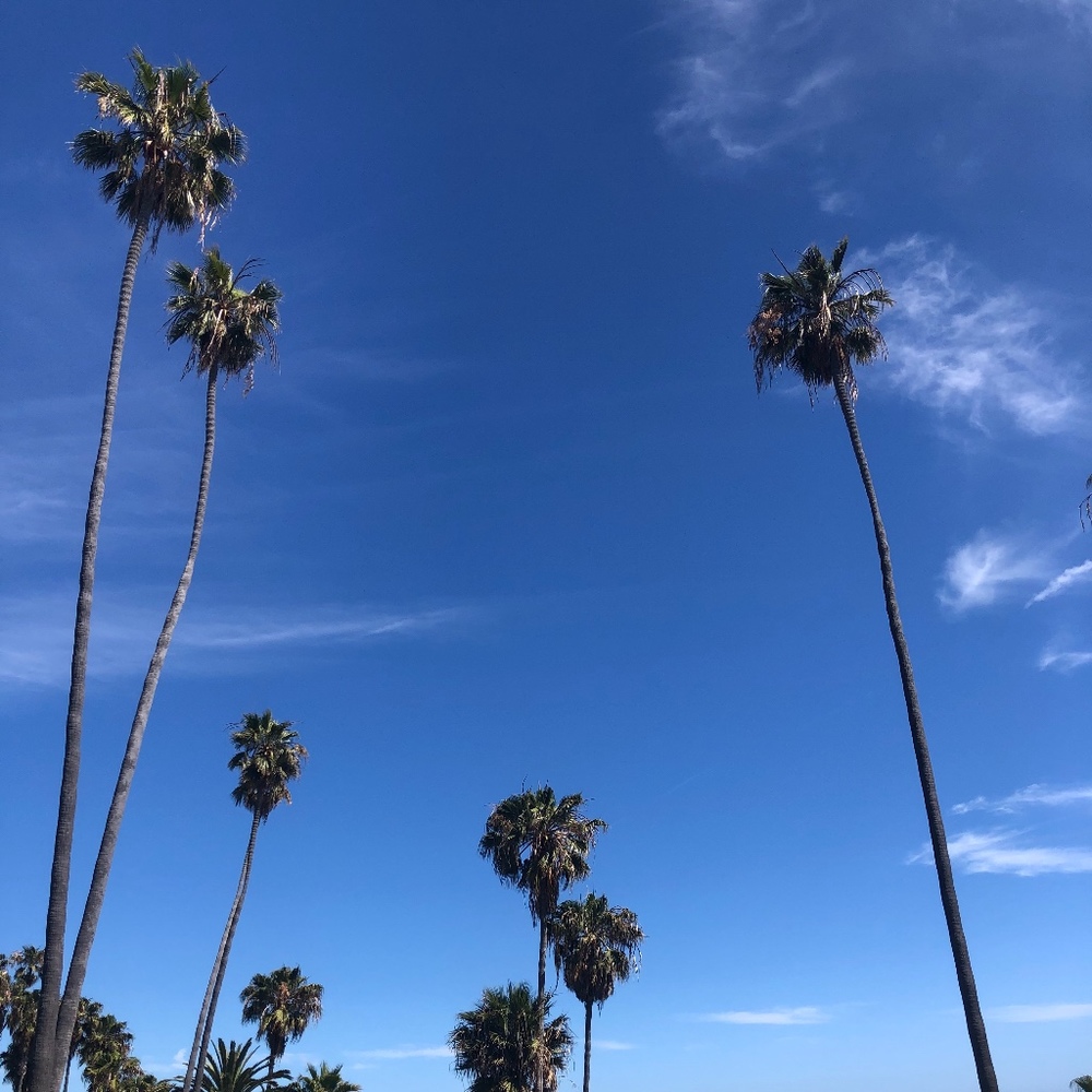 Meet your Posher, Rachelle